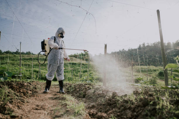 Best Pest Removal Services  in Torrington, CT