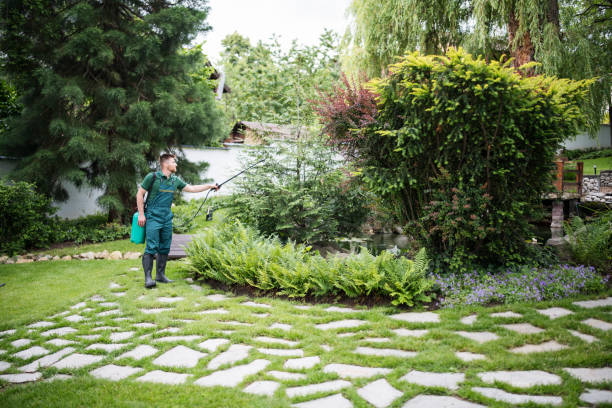 Best Exterminator Services  in Torrington, CT